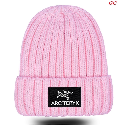 A.r.c.t.e.r.y.x. Beanies 1045 Men