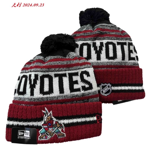 2024/25 NHL Beanies 3053 Men