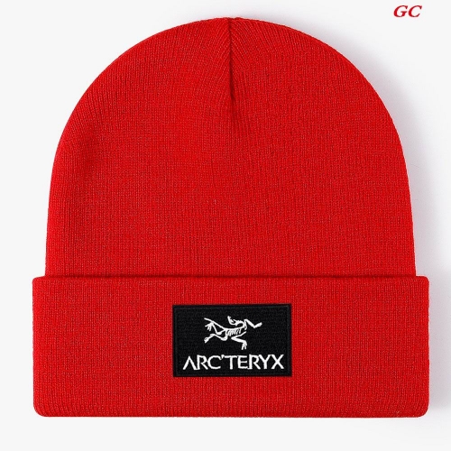 A.r.c.t.e.r.y.x. Beanies 1024 Men