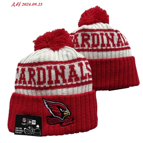 2024/25 NFL Beanies 3153 Men