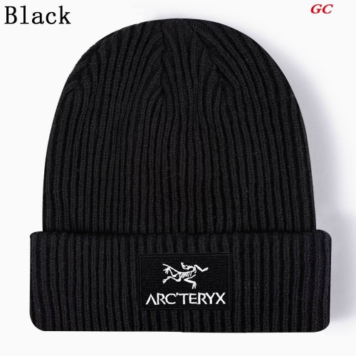 A.r.c.t.e.r.y.x. Beanies 1037 Men