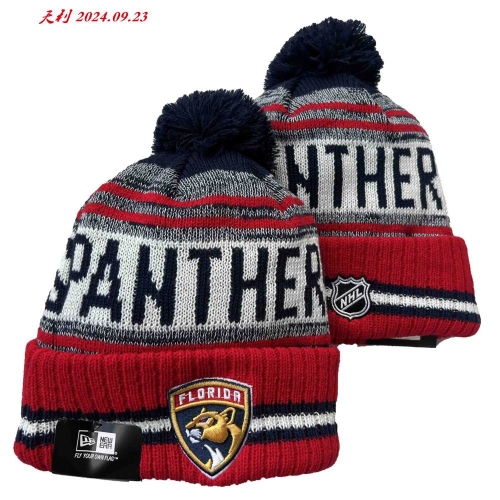 2024/25 NHL Beanies 3060 Men