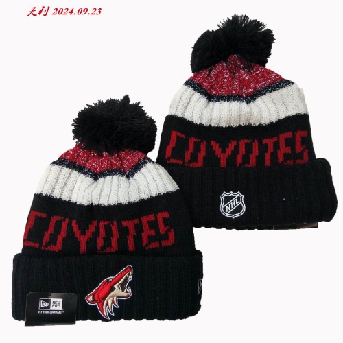 2024/25 NHL Beanies 3021 Men