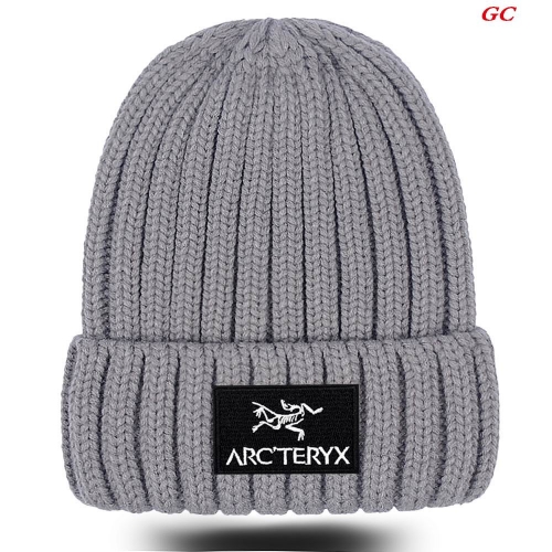 A.r.c.t.e.r.y.x. Beanies 1044 Men