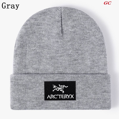 A.r.c.t.e.r.y.x. Beanies 1021 Men