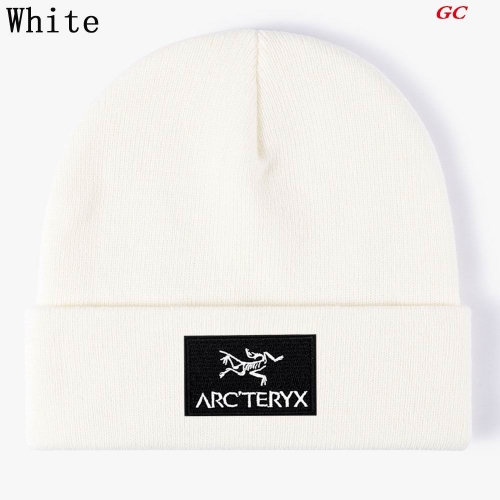 A.r.c.t.e.r.y.x. Beanies 1029 Men