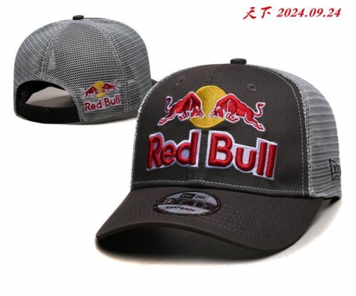 R.e.d. B.u.l.l. P.u.m.a. Hats 1296 Men