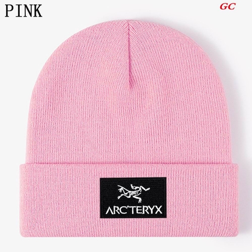 A.r.c.t.e.r.y.x. Beanies 1031 Men