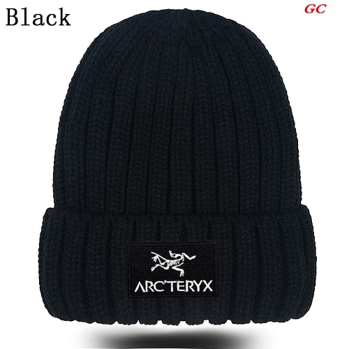 A.r.c.t.e.r.y.x. Beanies 1042 Men