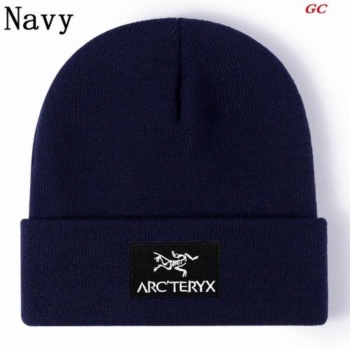 A.r.c.t.e.r.y.x. Beanies 1028 Men