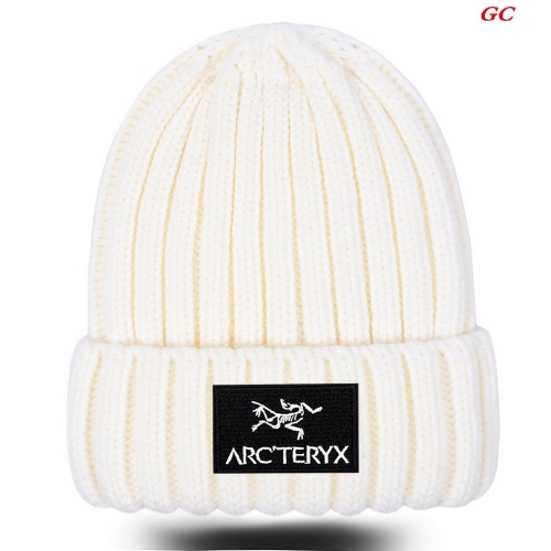 A.r.c.t.e.r.y.x. Beanies 1046 Men