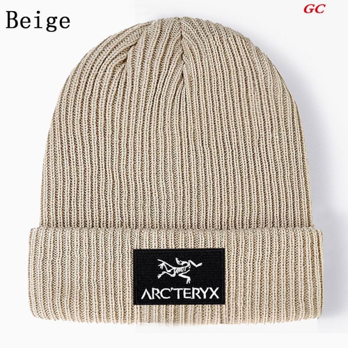 A.r.c.t.e.r.y.x. Beanies 1039 Men