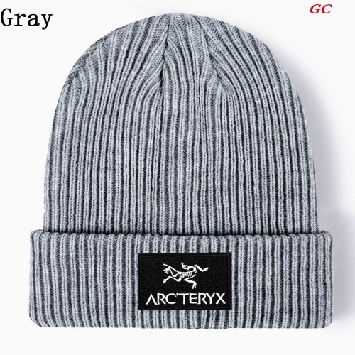 A.r.c.t.e.r.y.x. Beanies 1032 Men