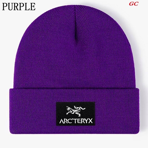 A.r.c.t.e.r.y.x. Beanies 1026 Men