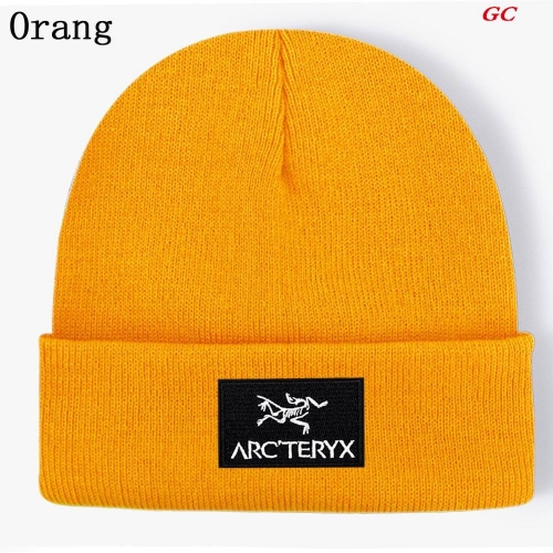 A.r.c.t.e.r.y.x. Beanies 1030 Men