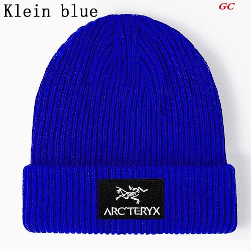 A.r.c.t.e.r.y.x. Beanies 1034 Men