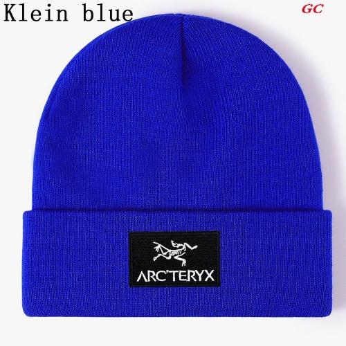 A.r.c.t.e.r.y.x. Beanies 1027 Men