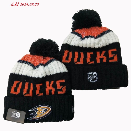 2024/25 NHL Beanies 3010 Men