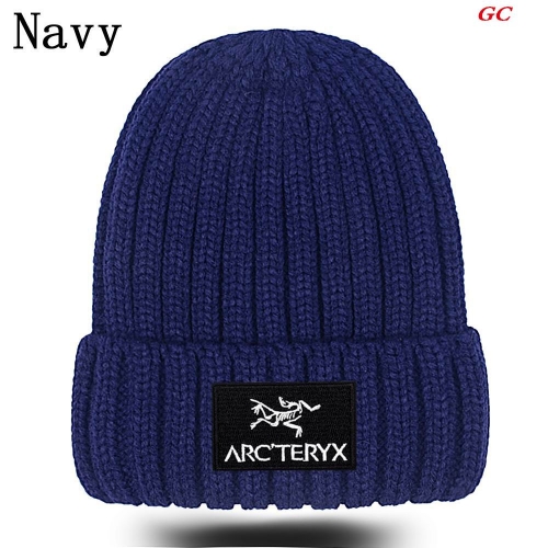 A.r.c.t.e.r.y.x. Beanies 1048 Men