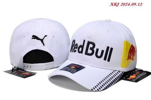 R.e.d. B.u.l.l. P.u.m.a. Hats AA 1293 Men