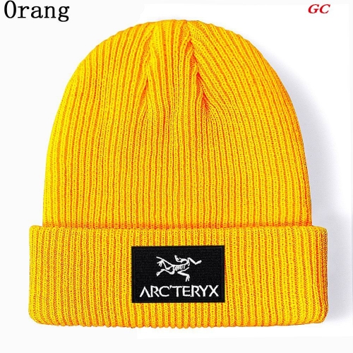 A.r.c.t.e.r.y.x. Beanies 1040 Men