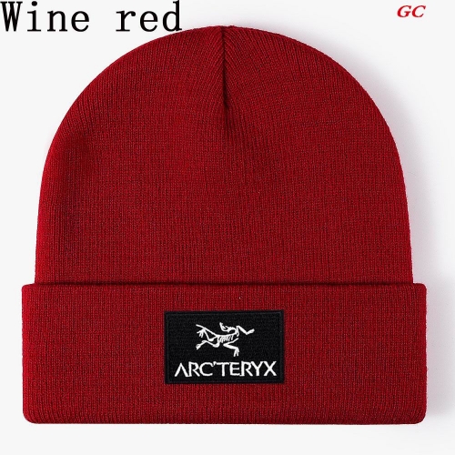 A.r.c.t.e.r.y.x. Beanies 1025 Men