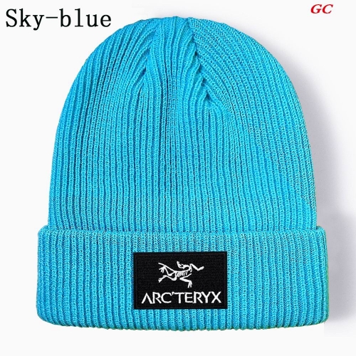 A.r.c.t.e.r.y.x. Beanies 1041 Men