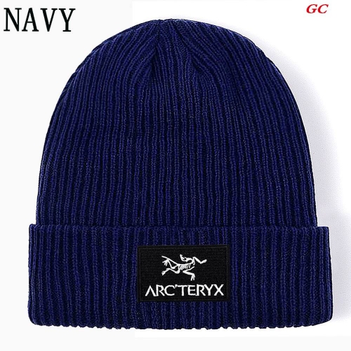 A.r.c.t.e.r.y.x. Beanies 1036 Men