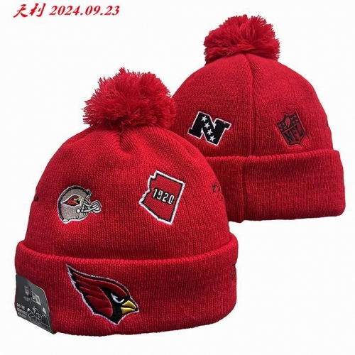 2024/25 NFL Beanies 3052 Men