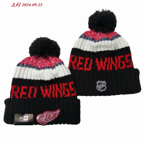 2024/25 NHL Beanies 3003 Men