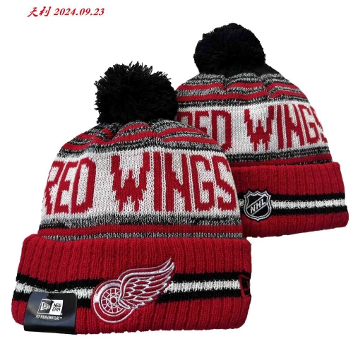 2024/25 NHL Beanies 3027 Men