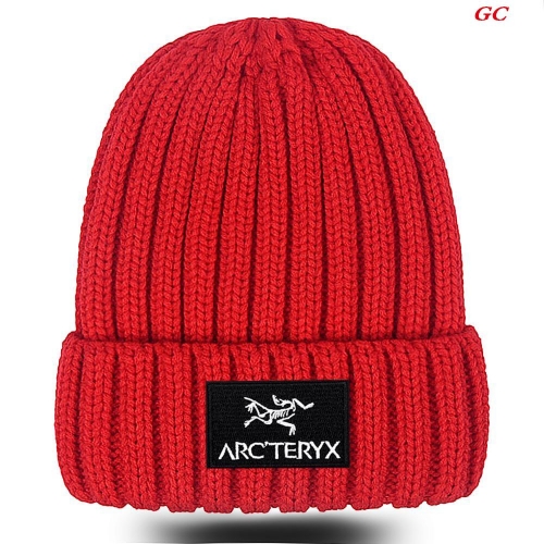 A.r.c.t.e.r.y.x. Beanies 1043 Men