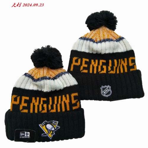 2024/25 NHL Beanies 3061 Men