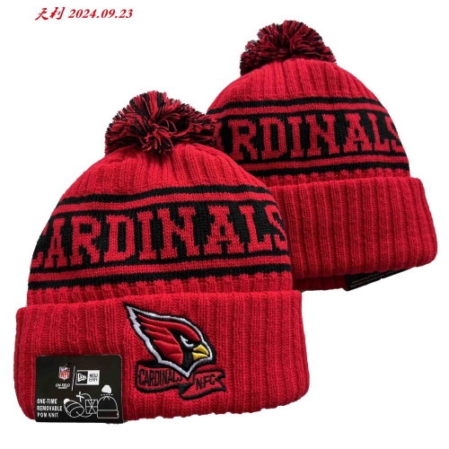 2024/25 NFL Beanies 3142 Men