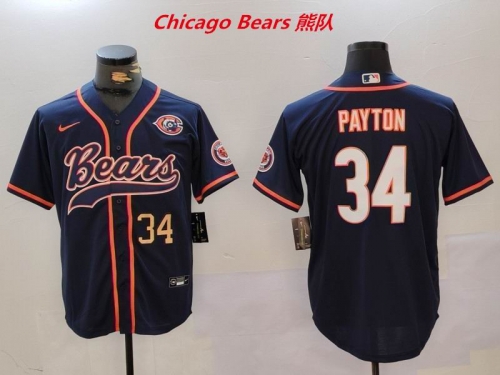 NFL Chicago Bears 357 Men