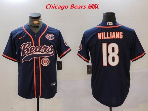 NFL Chicago Bears 353 Men