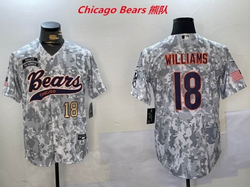 NFL Chicago Bears 446 Men