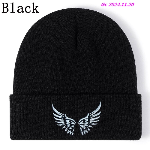 Classic Beanies 1001 Men