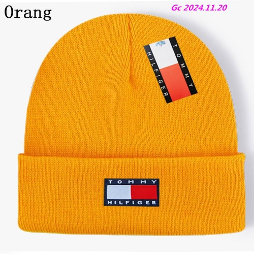 T.o.m.m.y. Beanies 1003 Men