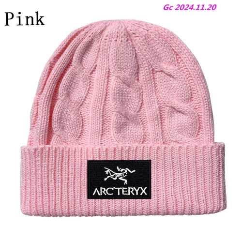 A.r.c.t.e.r.y.x. Beanies 1055 Men