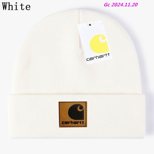 C.a.r.h.a.r.t.t. Beanies 1016 Men