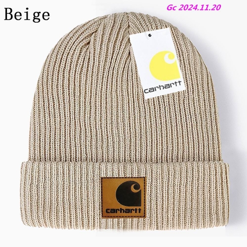 C.a.r.h.a.r.t.t. Beanies 1028 Men