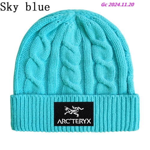 A.r.c.t.e.r.y.x. Beanies 1051 Men