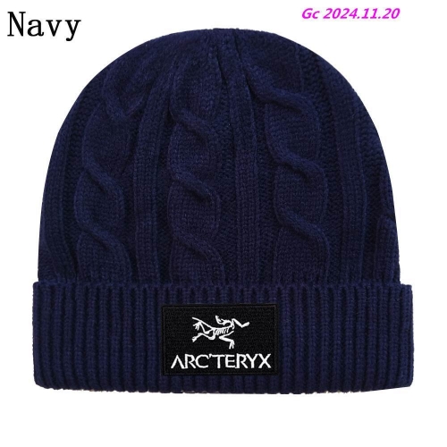 A.r.c.t.e.r.y.x. Beanies 1050 Men