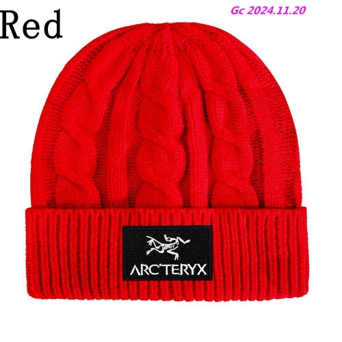 A.r.c.t.e.r.y.x. Beanies 1049 Men