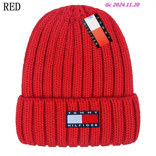 T.o.m.m.y. Beanies 1031 Men