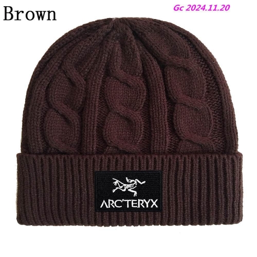 A.r.c.t.e.r.y.x. Beanies 1053 Men