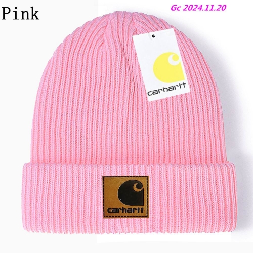 C.a.r.h.a.r.t.t. Beanies 1030 Men