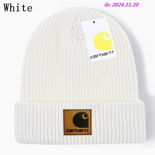 C.a.r.h.a.r.t.t. Beanies 1020 Men