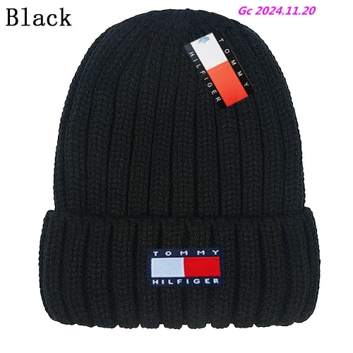 T.o.m.m.y. Beanies 1029 Men